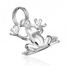 Přívěsek ze stříbra 925 - lesklá žába