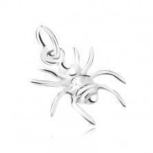Stříbrný 925 přívěsek, pavouk