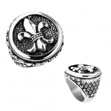Prsten z oceli, stříbrná barva, patina, Fleur de Lis v kruhu, srdíčka