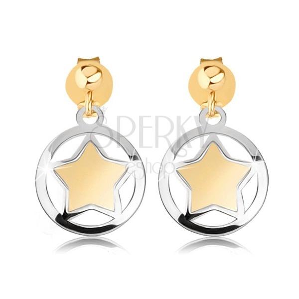 Dvoubarevné náušnice z 9K zlata - matná hvězdička v lesklém obrysu kruhu