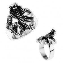Mohutný ocelový prsten, lesklá ramena, patinovaný had - kobra