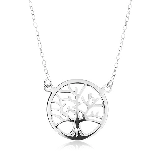 Stříbrný náhrdelník 925, řetízek a přívěsek - lesklý strom života v kruhu