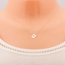 Zlatý 14K náhrdelník - blýskavý tenký řetízek, přívěsek - čtyřlístek pro štěstí