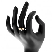 Ocelový prsten stříbrné a zlaté barvy, delfín a třpytivý čirý zirkon