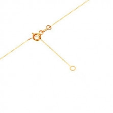 Zlatý 9K náhrdelník - řetízek z oválných oček, pospojované čiré zirkonky