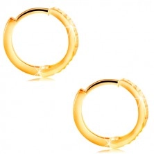 Náušnice ze žlutého 14K zlata - kroužek s blýskavými vodorovnými rýhami