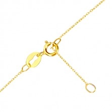 Zlatý náhrdelník 585 - kontura malého souměrného srdíčka, tenký řetízek