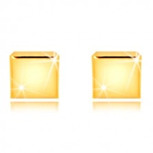 Náušnice ze žlutého zlata 375 - zrcadlově lesklý čtvereček, puzetky