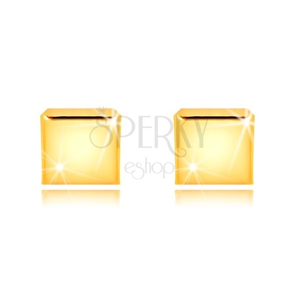 Náušnice ze žlutého zlata 375 - zrcadlově lesklý čtvereček, puzetky