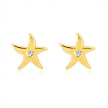 Náušnice ze žlutého zlata 375 - mořská hvězdice, čirý kulatý zirkon, puzetky