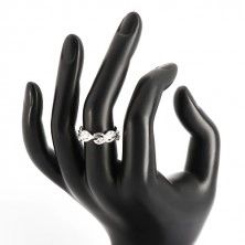Stříbrný prsten 925 - lesklý stonek s lístky a třpytivými zirkonky