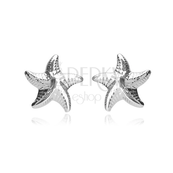 Stříbrné náušnice 925 - lesklá hvězdice s pěti rameny a zářezy, puzetky