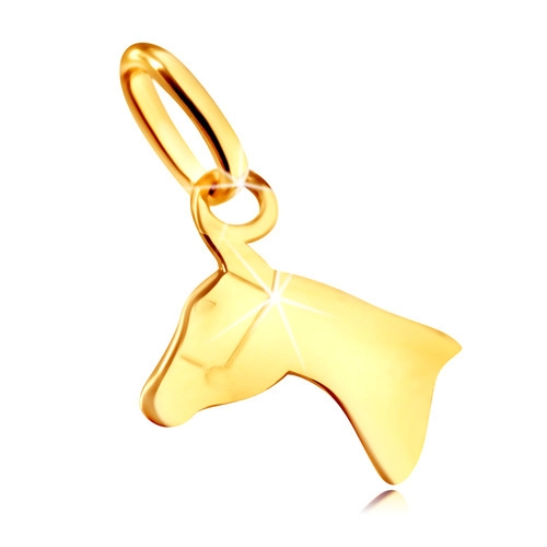 Přívěsek ze žlutého zlata 375 - lesklý obrys hlavy koníka