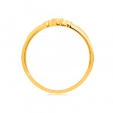 Prsten ze žlutého 9K zlata - rubín v objímce, kulaté zirkony, tečky